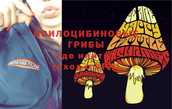 мдма Елизово