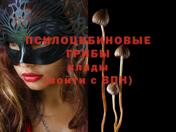 герыч Елабуга